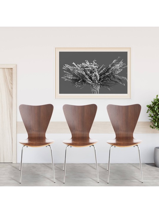 Chaise visiteur Calisto, noyer