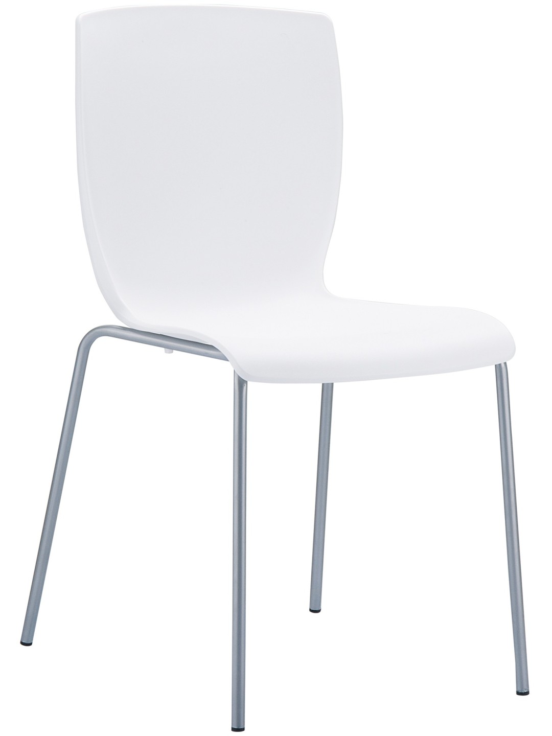 Président MIO, blanc