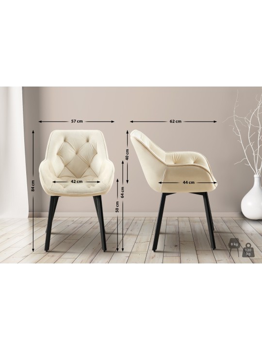 Chaise de salle à manger Antigo velours, crème Chaise de salle à manger Antigo velours, crème