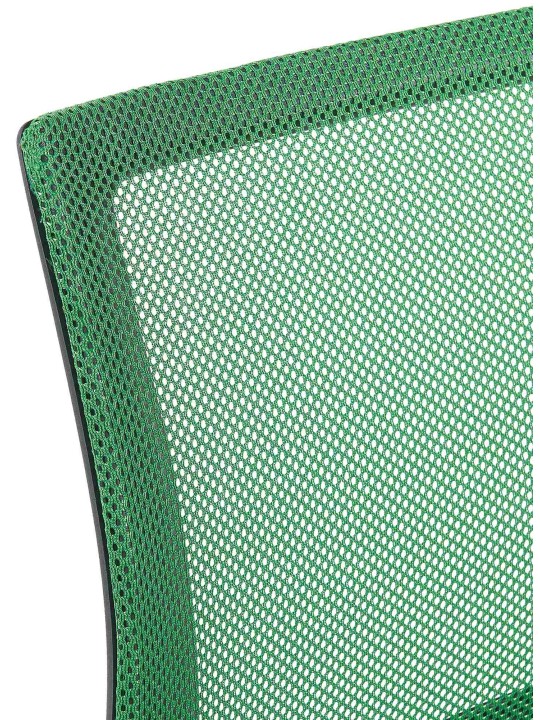 Lot de 2 chaises visiteurs Eureka, vert