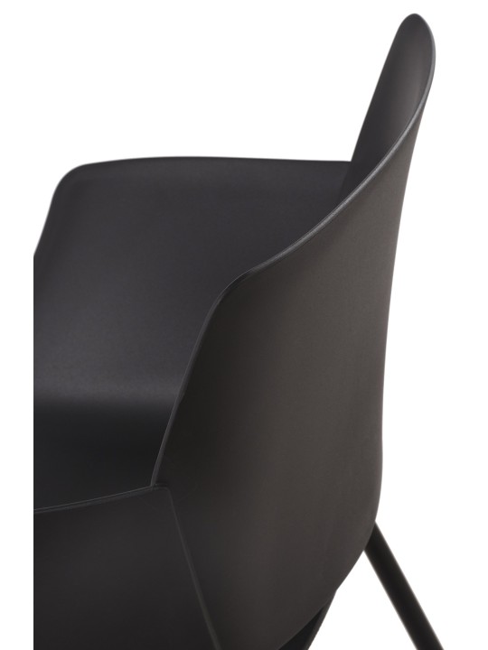 Lot de 2 chaises Alpena, noir