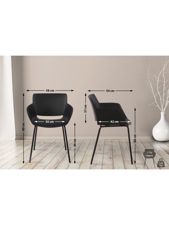 Lot de 2 chaises Alpena, noir